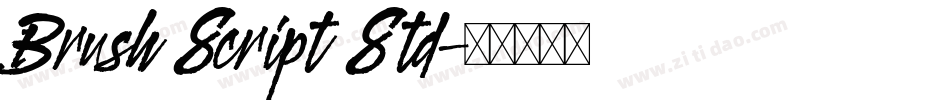 Brush Script Std字体转换